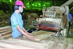 Bảo lãnh tín dụng khó đến với DNNVV