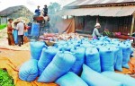 Nông nghiệp cần thêm trợ lực