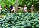 Chủ động với các thủ thuật từ đối tác Trung Quốc