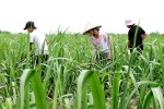 Doanh nghiệp nhún nhường, hai bên cùng lợi