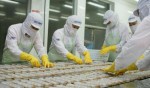 INCOMFISH:  Hướng tới nhà cung cấp thủy sản hàng đầu