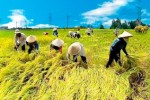 Cần thêm hỗ trợ cho nông, thủy sản