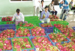 Lỗ hổng sản xuất tiêu thụ trái cây “chuẩn”
