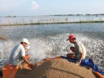 Món ngon, vốn nội sao chưa ham vào