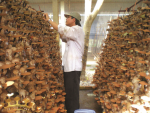 VCC vượt khó để thành công