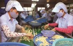 Ưu tư khi xuất khẩu thuận lợi