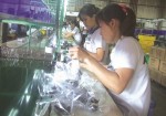Doanh nghiệp FDI ở Bình Dương: Đang chờ cơ chế đặc biệt
