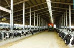 Công nghệ cao trong nông nghiệp: Chính sách sẽ mở đường