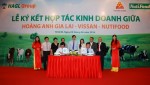 Bầu Đức chi 6.300 tỷ đồng để nuôi bò