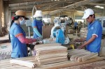 Hỗ trợ DNNVV cần nhanh hơn