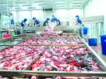 Xuất khẩu thủy sản nhiều thuận lợi