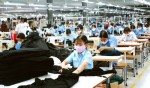 Dệt may rục rịch đa dạng nguồn nguyên liệu