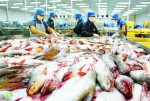 Tranh cãi quanh “Nghị định cá tra”