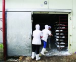 Chưa cảm nhận tốt với các luật về DN