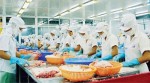 Xuất khẩu tăng, doanh nghiệp thủy sản vẫn khó