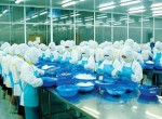 Chính sách hỗ trợ… bắt đầu ngấm