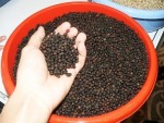 Hồ tiêu Việt Nam hút hàng tại Mỹ, Đức