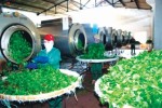 Đứng vững nhờ tận dụng cơ hội