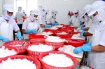 DNXK không hấp thụ được vốn
