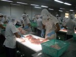 Thị trường Trung Đông bắt kịp EU về nhập khẩu cá tra Việt Nam