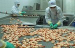 Thụy Sĩ đầu tư Quỹ tín dụng xanh