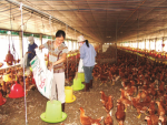 Tìm bài học từ doanh nghiệp “ngoại” phá sản