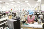 Dưới bước chân người khổng lồ