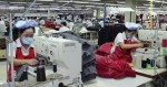 DN nhỏ, câu chuyện lớn