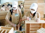 Nhập gỗ sơ chế, ép phá rừng