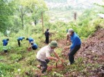 Đất rừng thành trang trại!