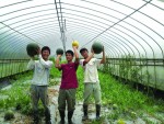 Xuất khẩu lao động:  Lượng tăng, chất không đổi