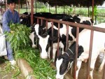 Cần thay đổi mạnh mẽ về tư duy