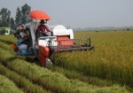 Nông nghiệp thiếu nhân lực công nghệ cao