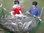 Thủy sản kỳ vọng bứt phá
