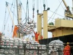 Đảm bảo tối đa 150 đầu mối xuất khẩu gạo
