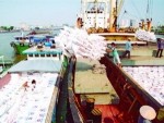 Công cụ mới hỗ trợ các nhà xuất khẩu vào thị trường EU
