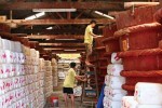 Doanh nghiệp ít chủ động bảo hộ nhãn hiệu