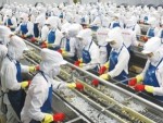 Xuất khẩu thủy sản 7 tháng đạt 3,41 tỷ USD