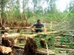 Vốn đâu chuyển đổi cây trồng