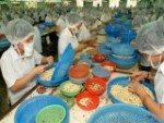 Dự kiến cà phê, hạt điều cũng được gia hạn nợ tín dụng XK