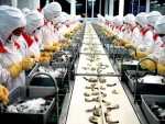 Đến năm 2020, xuất khẩu thủy sản đạt 11 tỷ USD