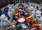 FDA công bố mức phí xử phạt và tái kiểm năm 2014
