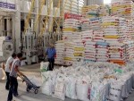 Tuần đầu tháng 8 xuất khẩu được gần 52.500 tấn gạo