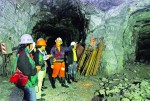 Besra cố tình không nộp thuế