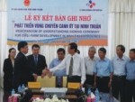 Phát triển vùng chuyên canh trồng ớt tại Ninh Thuận
