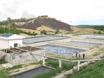 Doanh nghiệp góp sức xây dựng vùng nguyên liệu