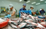 Đẩy mạnh hỗ trợ DN xuất khẩu uy tín