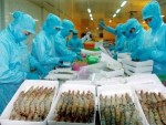 Hoa Kỳ hủy vụ kiện chống trợ giá tôm của Việt Nam