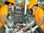 Sẽ thành lập sàn đấu giá thủy sản Việt Nam tại Bỉ