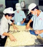 Ngành điều tăng tốc xuất khẩu